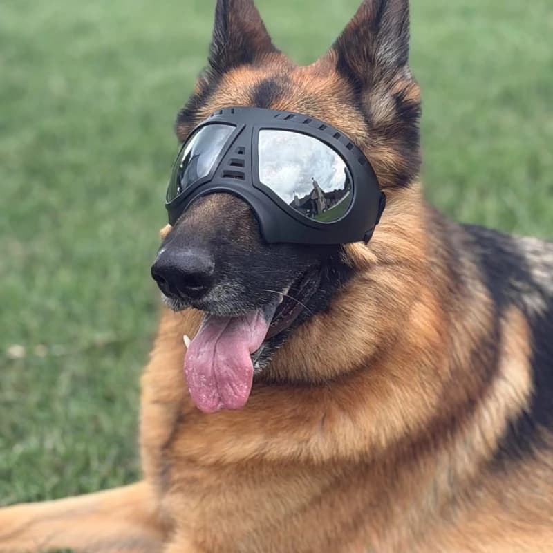 Pet Glasses for medium large-size Dog Supplies Snow-proof UV-blocking Wind-resistant Goggles Sunglasses Mask Adjustable Straps