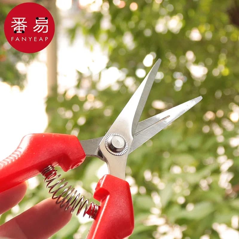 Fruit Harvest Shears A1P49 Pourage Shears Gardening Shears Fruit and Vegetable Scissors Orange Harvest
