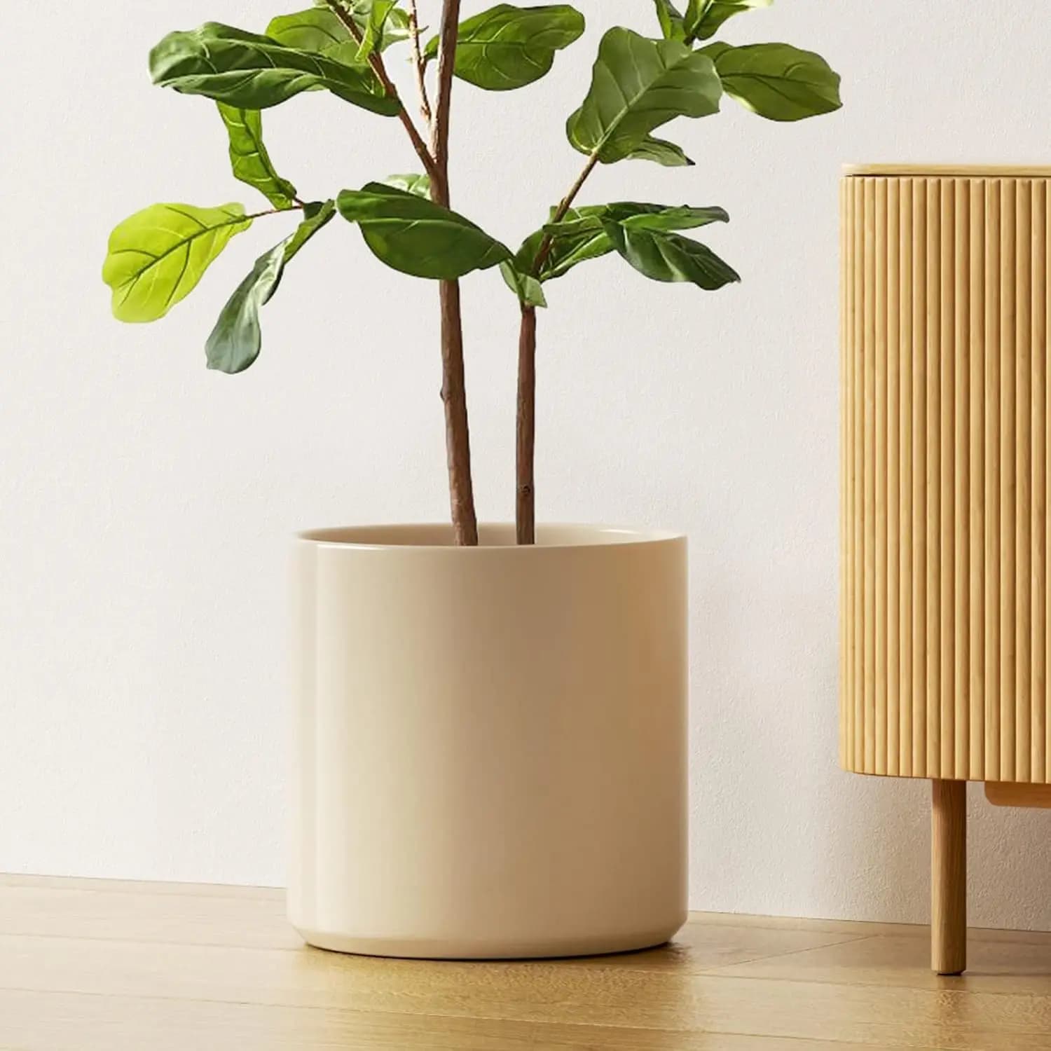 Vaso in Ceramica da 12 Pollici con Foro di Drenaggio, Contenitore Cilindrico Stile Mid-Century Modern per Piante da Interno Come Ficus Lyrata e Monstera
