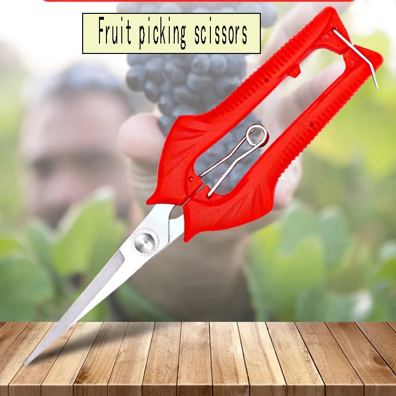 Gardening pruning shears for fruit trees, tools for pruning shears for bonsai