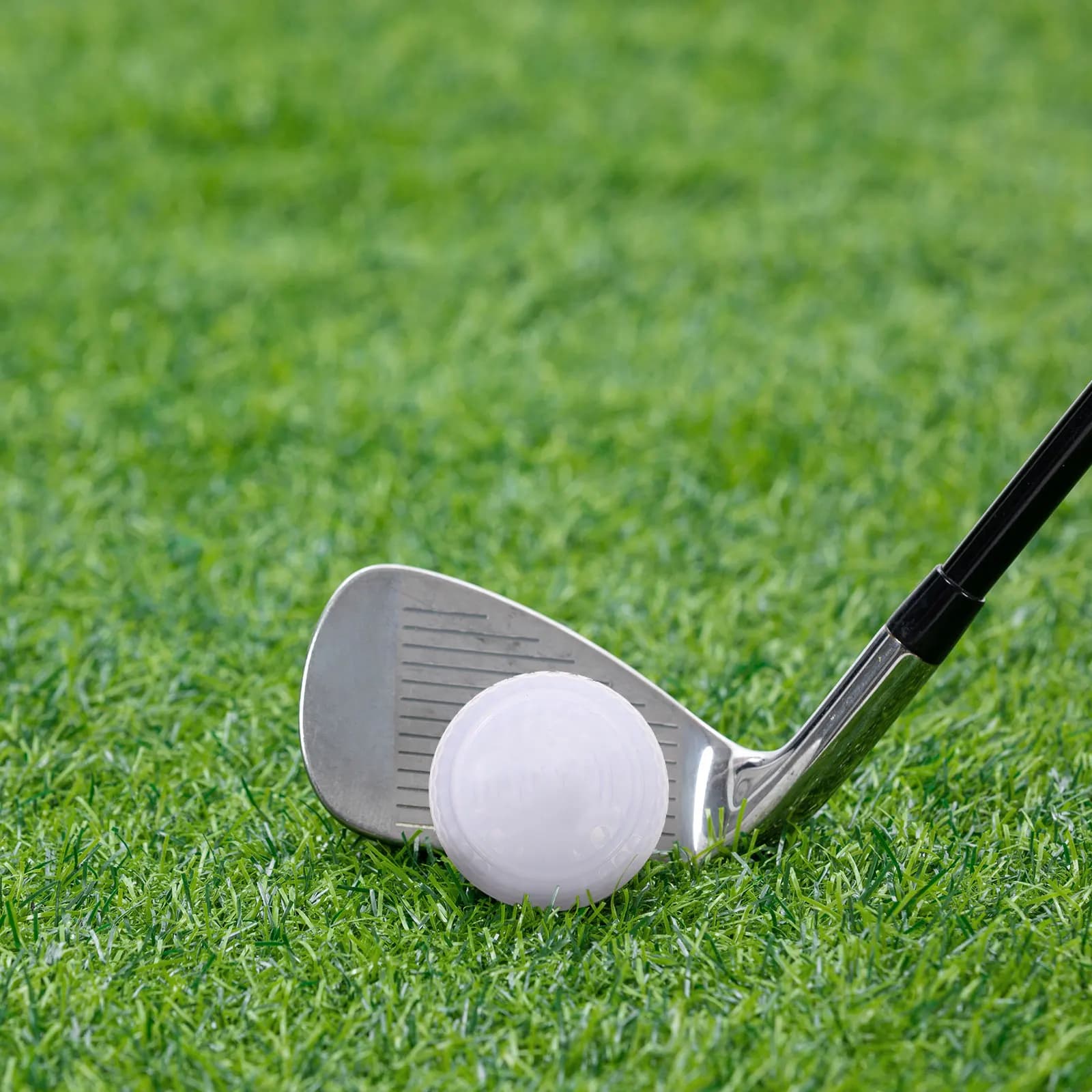 Palline da golf portatili da 2 pezzi per un gioco sicuro con animali domestici Esercizi per interni ed esterni Palline da golf che praticano l'asta