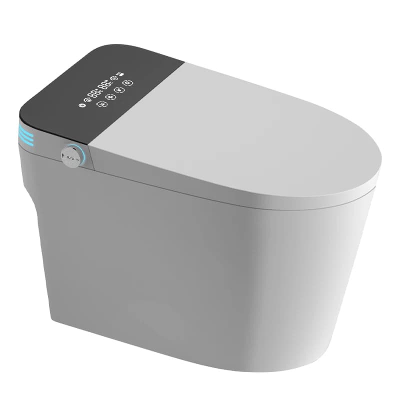 WC Intelligente in Ceramica a Doppio Scarico con Cassetta Nascosta, Montaggio a Pavimento, Design Moderno, Massima Efficienza Idrica - Vendita Calda