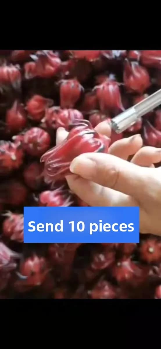 Cooking Tools Eng for Removing Seeds, Dates Red and Rose Canine, Fruit Separator for Cooking