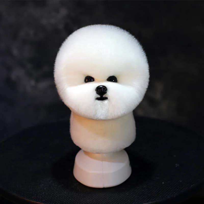 Manichino testa Bichon per cani modello per toelettatura con parrucca per testa per pratica di rifilatura Goomers per animali domestici
