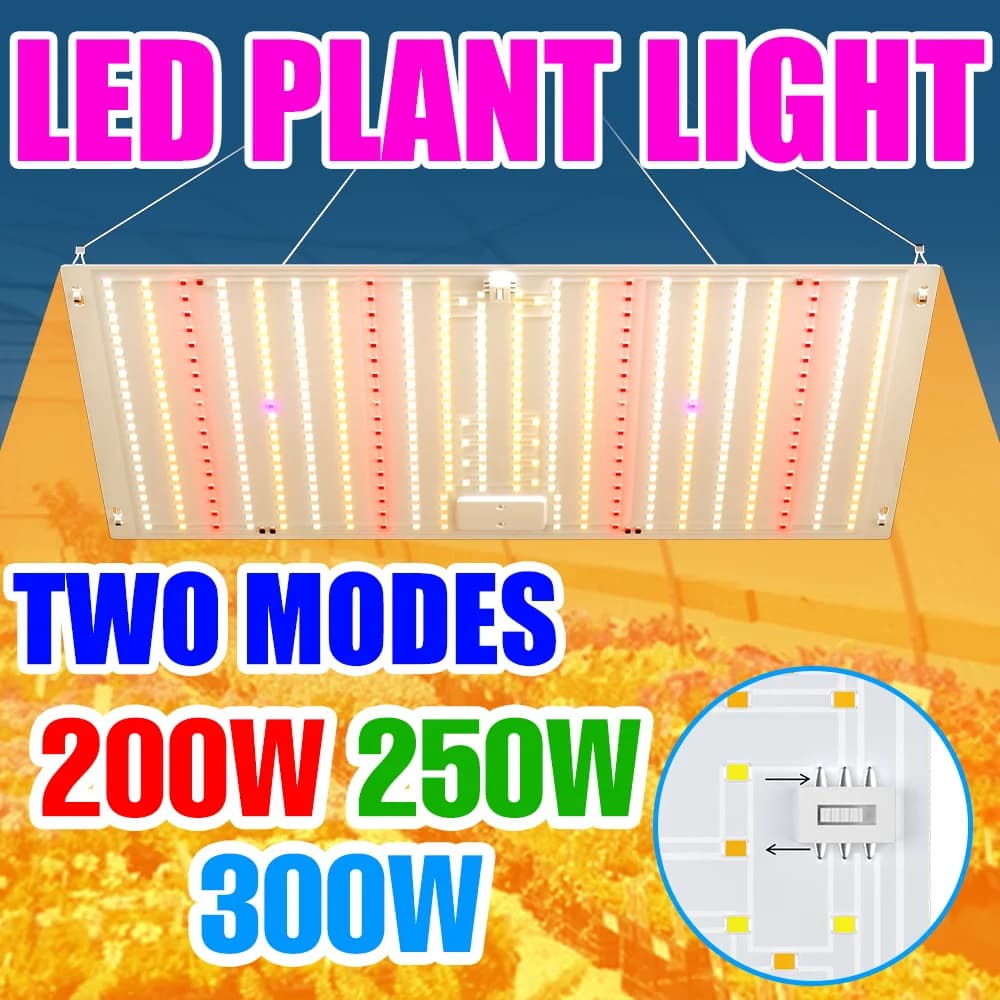 Lampada LED per Coltivazione Indoor 300W a Spettro Completo, Pannello Quantum UV IR per Piante, Fiori, Verdure, Frutta, Semina e Coltivazione di Muschio