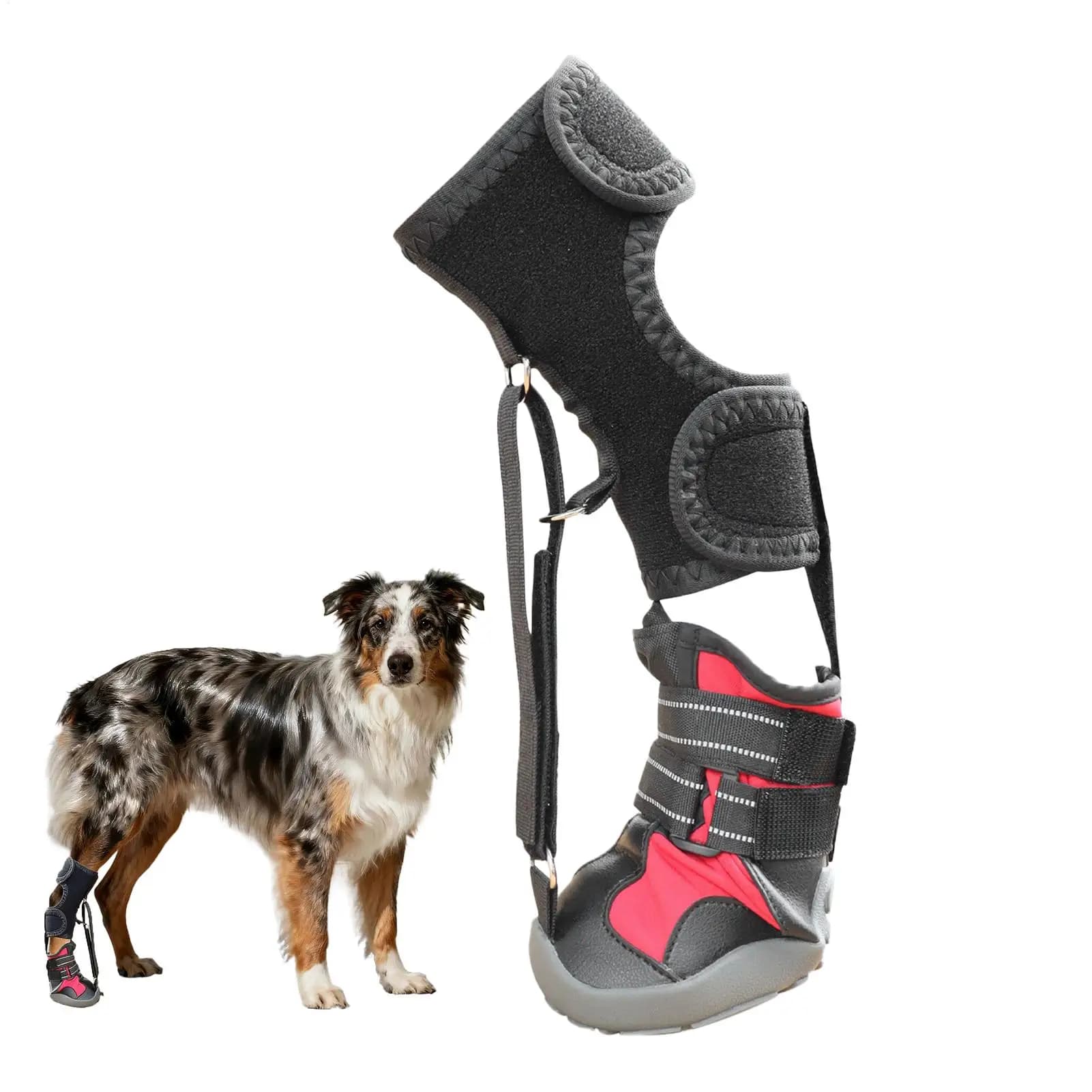 Shoes For Dogs Pet Breathable Paw Protector Boots Waterproof Dog Shoes For Indoor Outdoor Hiking Walking Beach Camping Commuting