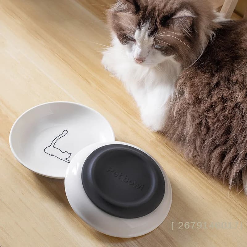 【YY26】Ciotole in Ceramica per Gatti con Base Antiscivolo in Silicone, Ciotola per Snack, Ciotola per Cibo e Acqua per Gattini, Accessori per Animali Domestici