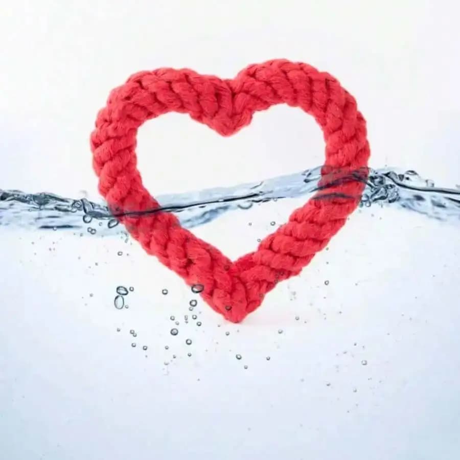 Heart Shaped Braided Rope Chew Toy For Dogs And Cats Durable Interactive Tug Toy