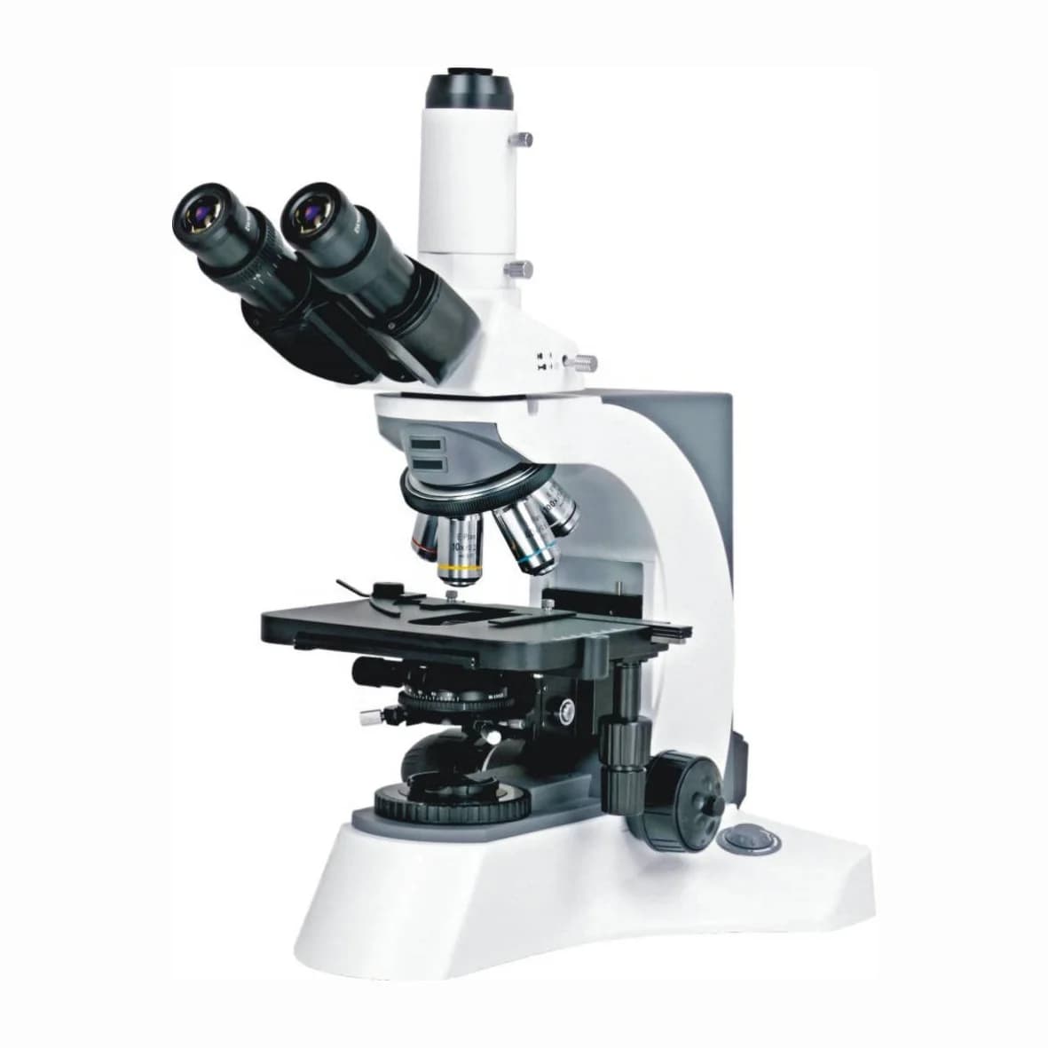Microscopio da laboratorio binoculare per microscopio biologico digitale CHINCAN N-800M