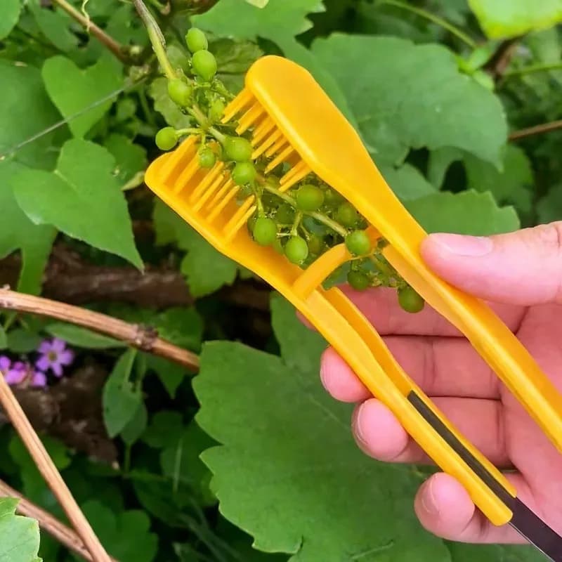 Attrezzo per la Potatura delle Uve, Pettine per la Selezione della Frutta, Strumento per la Raccolta in Vigneto, Potatore Manuale per Grappoli d'Uva per Giardinaggio e Agricoltura, Forbici per Mirtilli