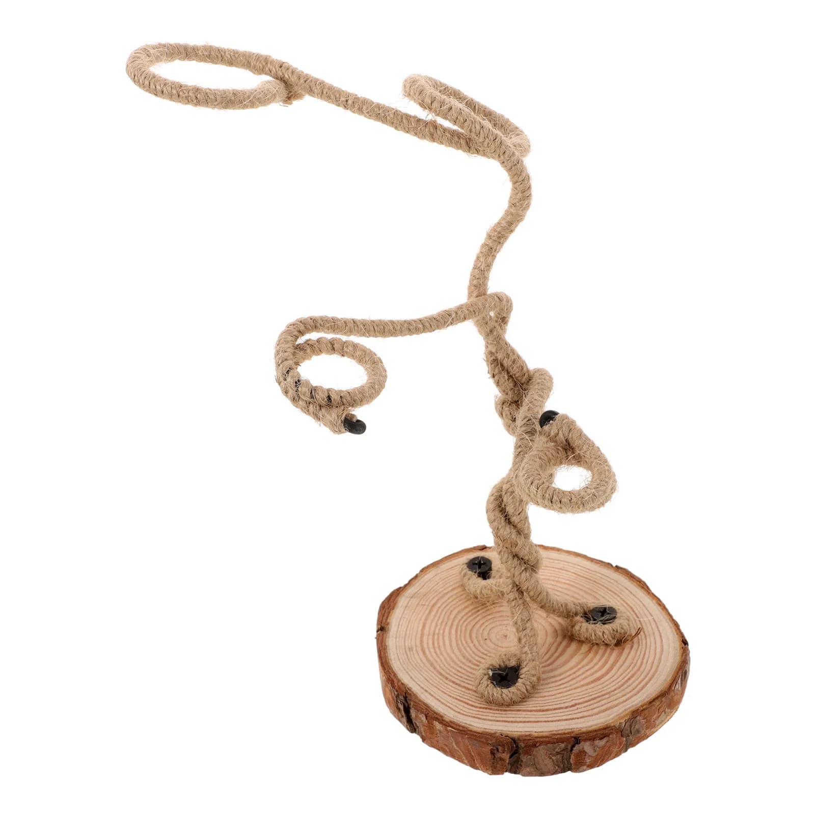 Air Plant Door Office Light Table Plants Home Support for Tillandsia Table Ornament Supports for Tillandsia