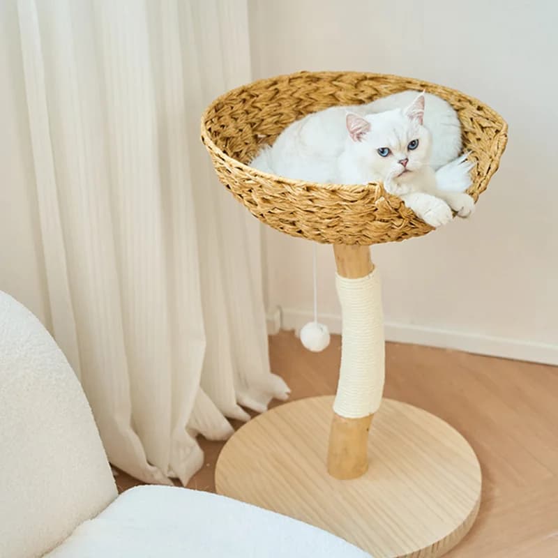 Cat Tower Small Rattan Pet Bed Solid Wood Cat Tree Claw Cat Scratchers Space Saving Pet Supplies Integrated Bed Indoor