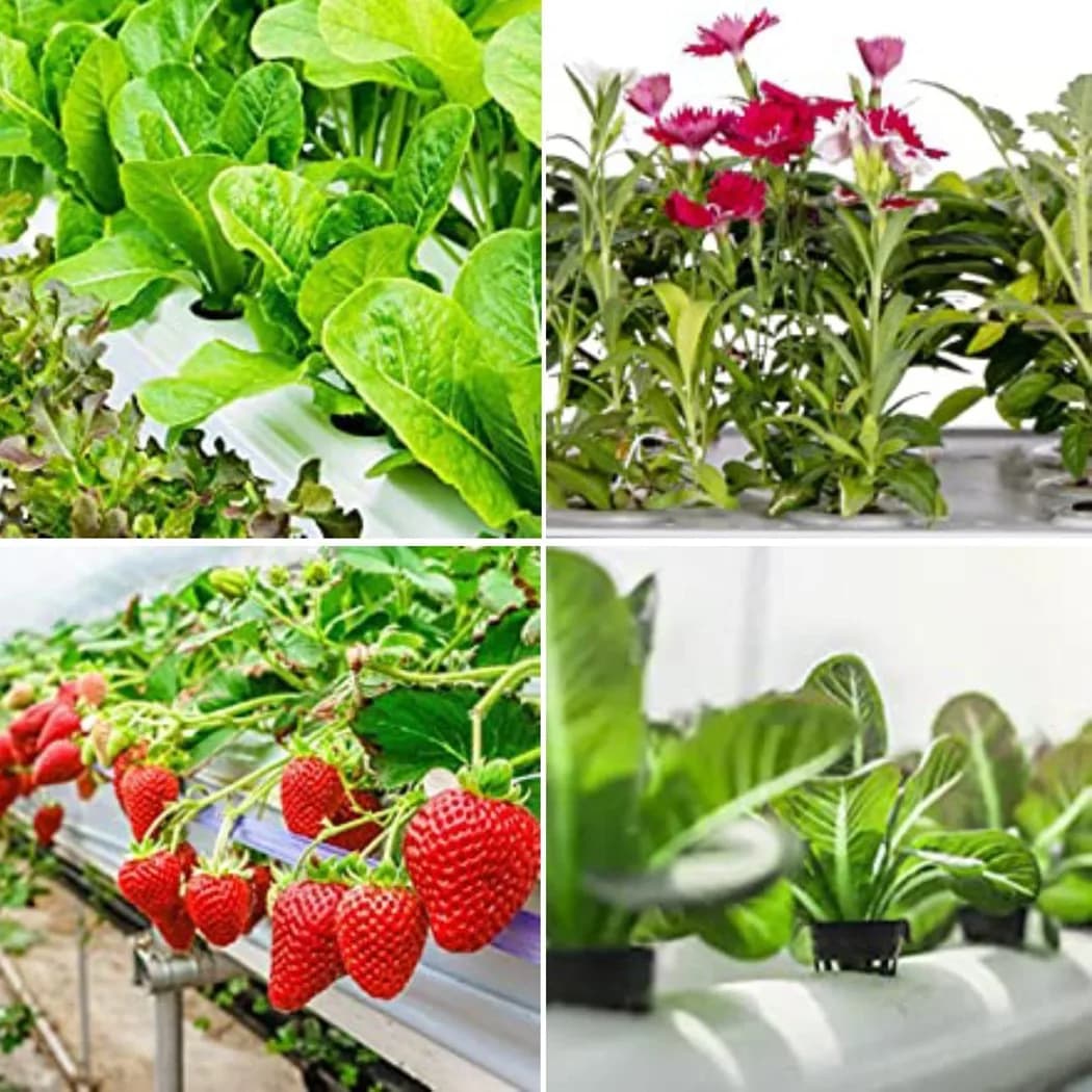 Tazze a rete in plastica da 25 pezzi per contenitori per cestini per piante da giardino compatibili con le impostazioni di macchine aeroptroniche e clonatrici
