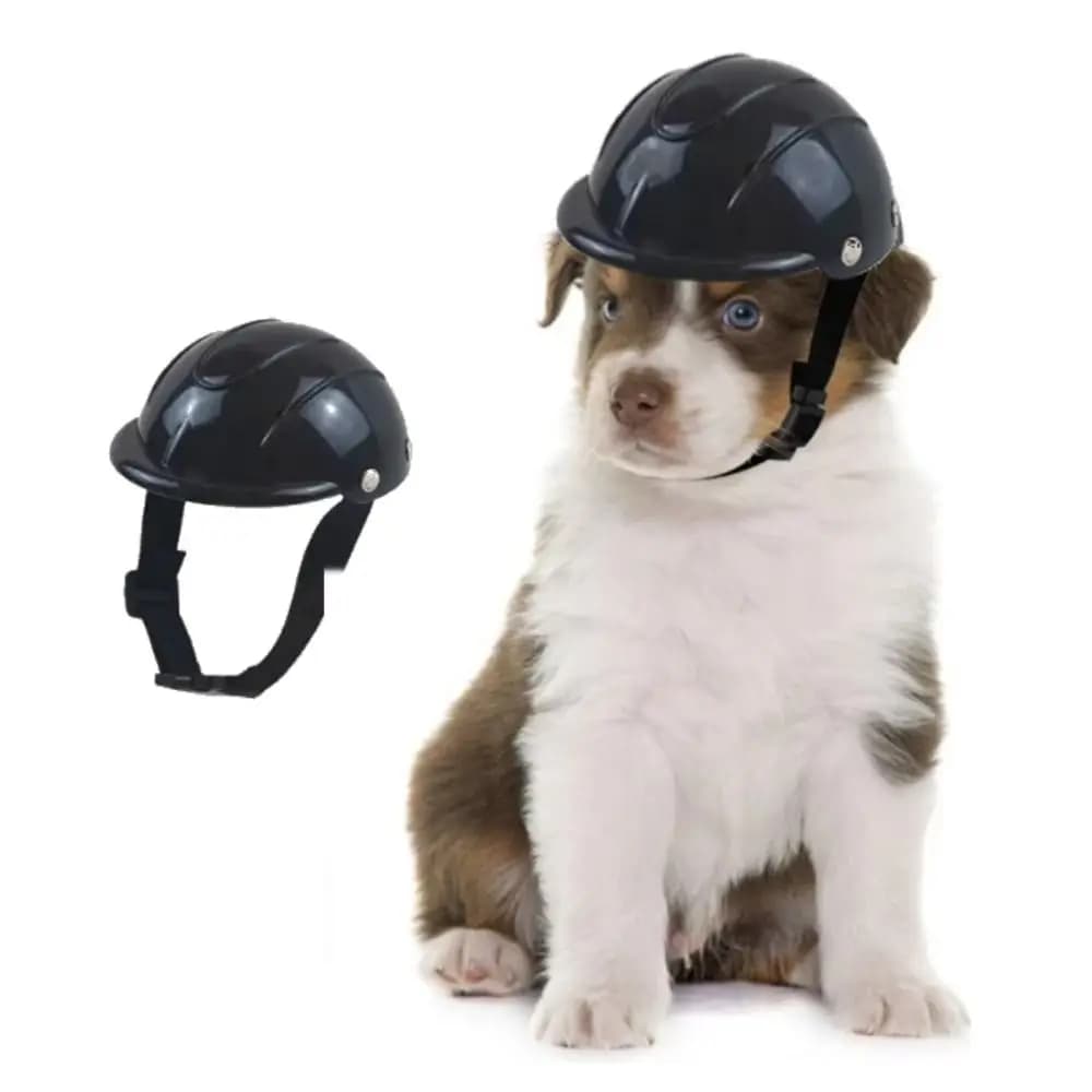 Casco per cani regolabile Antivento Resistente all'usura Casco per moto per animali domestici Caschi di sicurezza per animali domestici in plastica traspirante da viaggio