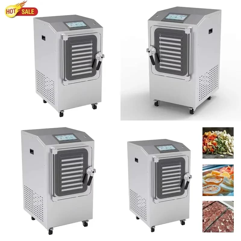 Wholesale Dryer for Fruit Supplies Dried Candy Machines Small Dehydrator for Home Vacuum Large