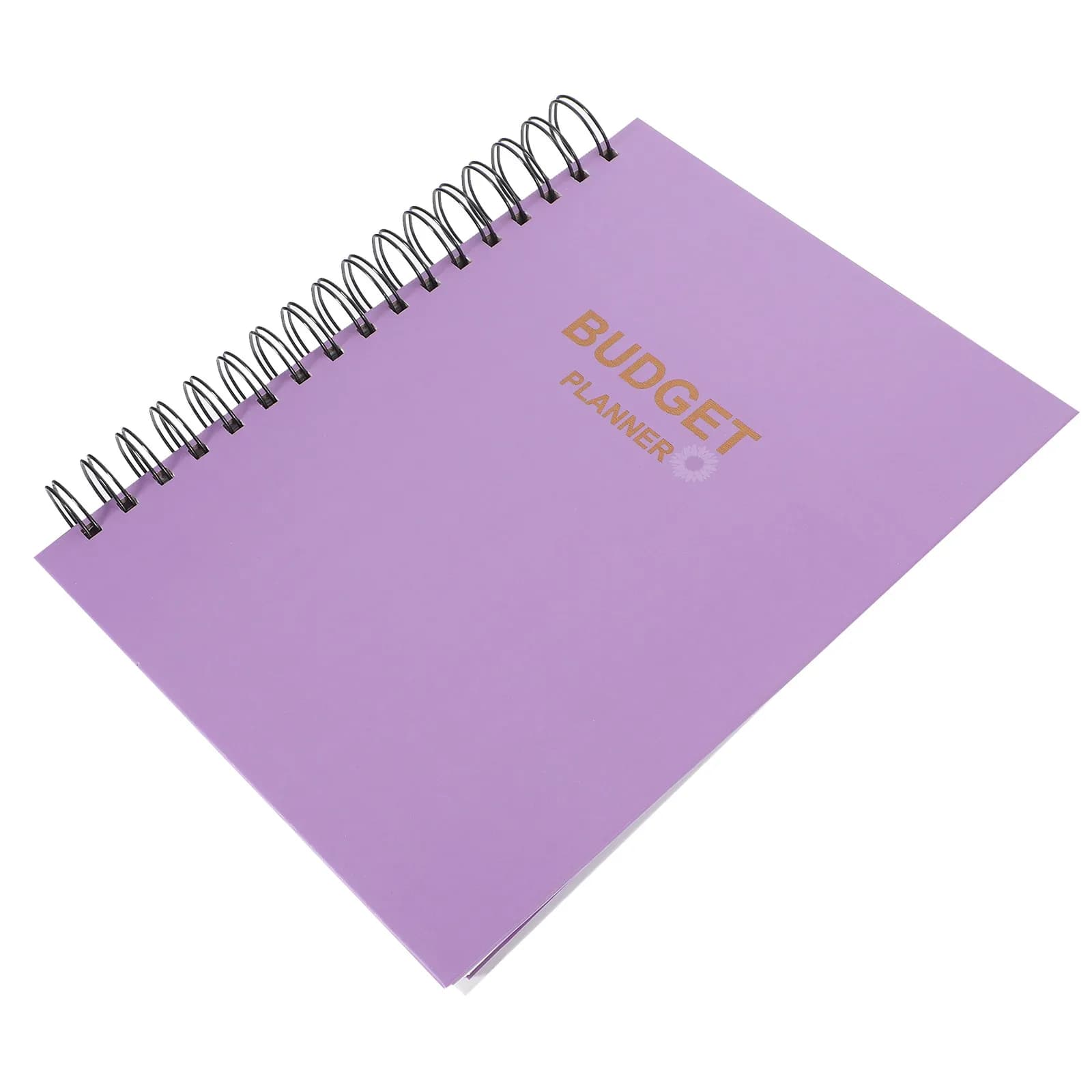 Agenda per la pianificazione del budget con rilegatura a spirale, quaderno per la pianificazione mensile, strumento per l'organizzazione del denaro con carta spessa, per studenti, professionisti e uso personale