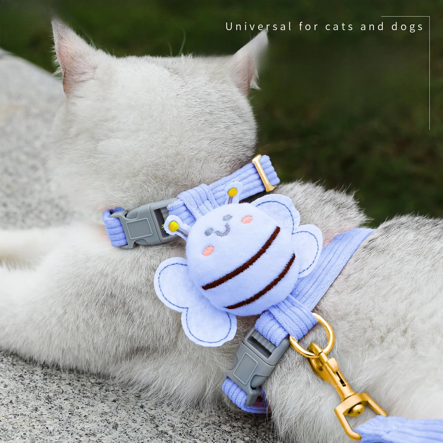 Pettorina per cani Collare per gatti Pettorina per cuccioli Set di guinzagli Imbracatura per gattini regolabile Cartoon Bee Outdoor Piccoli e medi Vestiti per gatti Catena per cani