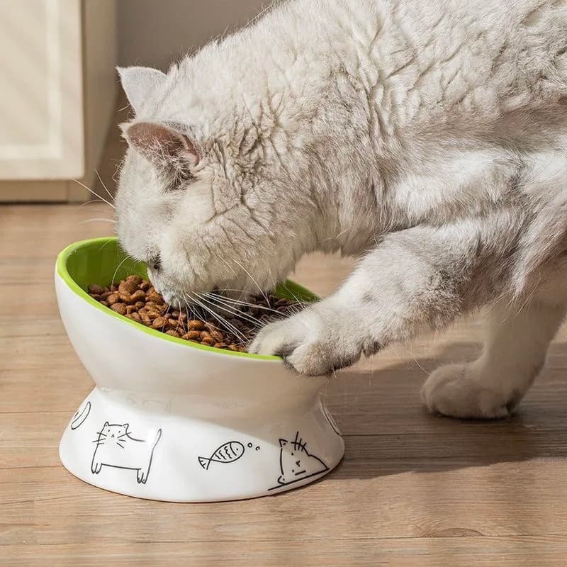 Ciotola per Animali Domestici in Ceramica con Motivi Creativi a Cartoni Animati, Protezione Collo Anti-Ribaltamento, Ciotola Rialzata per Cani e Gatti, 1 Pezzo