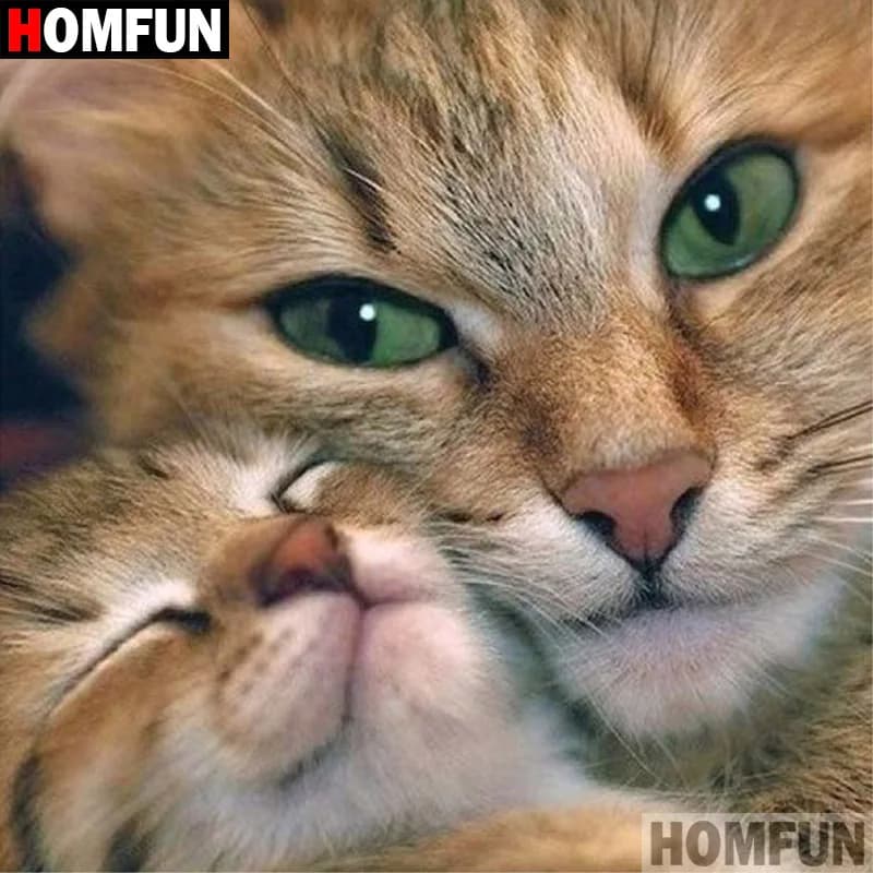 HOMFUN 5D Pittura Diamante DIY Pieno Quadrato/Rotondo Trapano "Animale gatto" 3D Ricamo Punto Croce regalo Complementi A00938