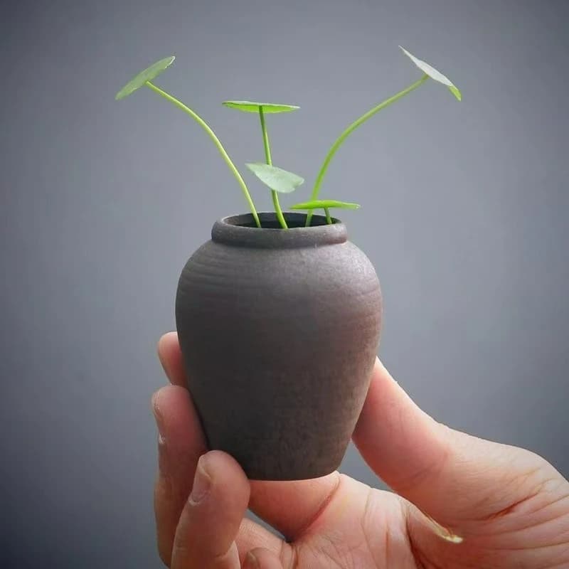 Vaso in Ceramica Nero Opaco Ideale per Fiori Secchi, Regalo per Matrimoni, Casa, Spa, Candele Votive, Giardini, Decorazione per Soggiorno e Casa