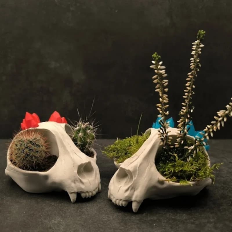 3D Printed White Crystal Skull Planter Pot Mini Gothic Planter For Small Succulent Cactus Air Plants Halloween Desktop Decor