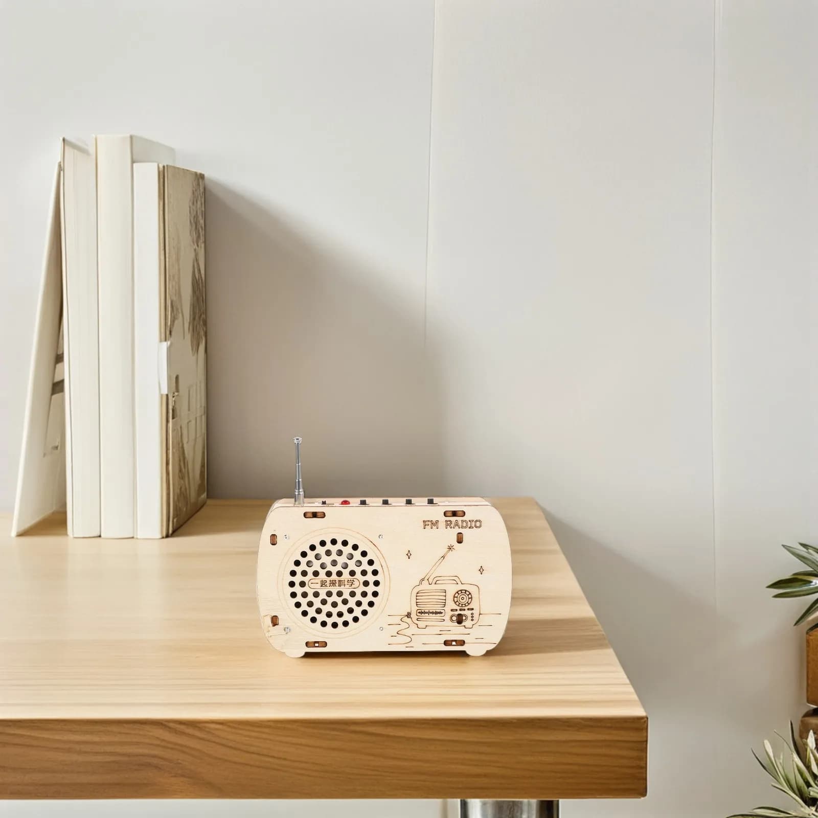 Kit di Montaggio Radio in Legno Fai-da-Te per Bambini, Esperimento Scientifico Educativo, Costruisci la Tua Radio