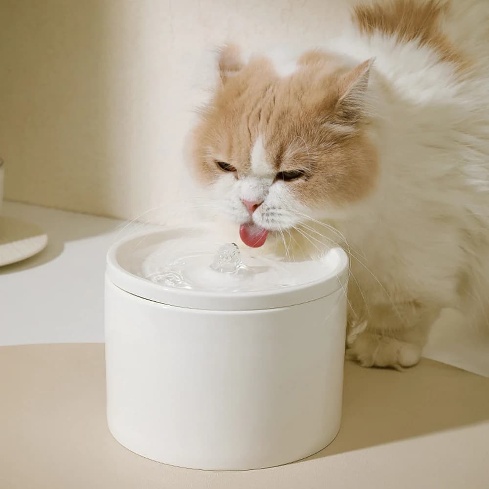 Distributore d'acqua automatico per gatti, ciotola in ceramica per animali domestici, distributore d'acqua per cani, circolazione e flusso dell'acqua