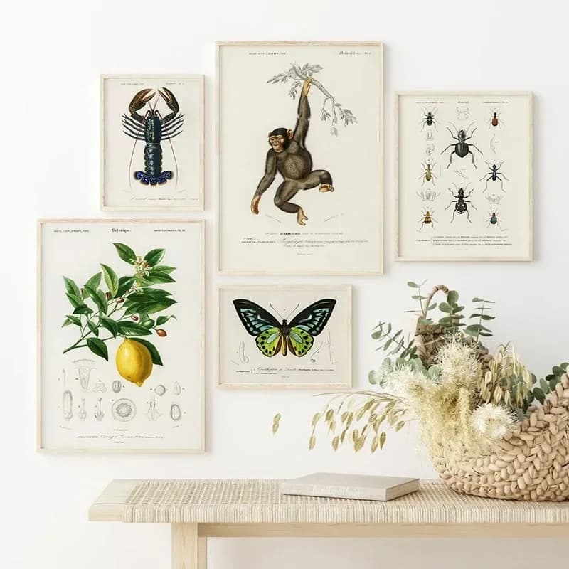 Paleontology Animals Insects Botanical Flowers Canvas Painting Posters and Prints Wall Art for Living Room Decoration