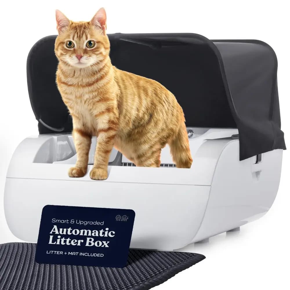 Distributori Automatici di Cibo per Gatti, Lettiera Intelligente per Gatti, Lettiera per Gatti con Ampia Apertura, Forniture per Gatti