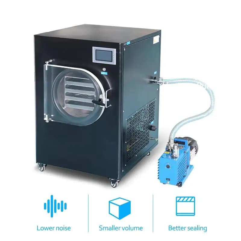 -80 ° Liofilizzatore da laboratorio a collettore da 6 kg/batch, piccolo liofilizzatore domestico per alimenti, frutta e verdura
