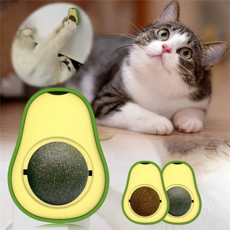Palla da parete rotante con erba gatta Giocattolo per gatti A forma di avocado Pulizia dei denti Palla da leccare commestibile Snack sano Gatti per giocare con i giocattoli per gatti alla menta
