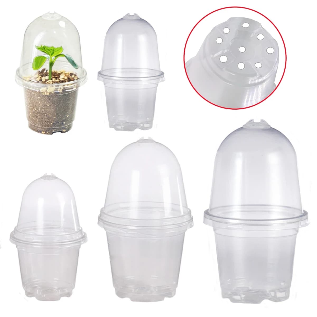 10/20 Pz Plant Vivary Cup Thickness 3.5/4/5/6 Pollicates PET Garden Grass Flower Growing Seeds Germinre Pot with lid