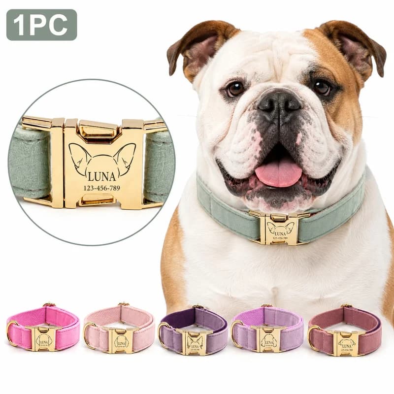 [Custom] 1‑Pack Custom Engraved Dog Collar, Multiple‑Style Animal Ear Patterns Available, Name & Phone Number