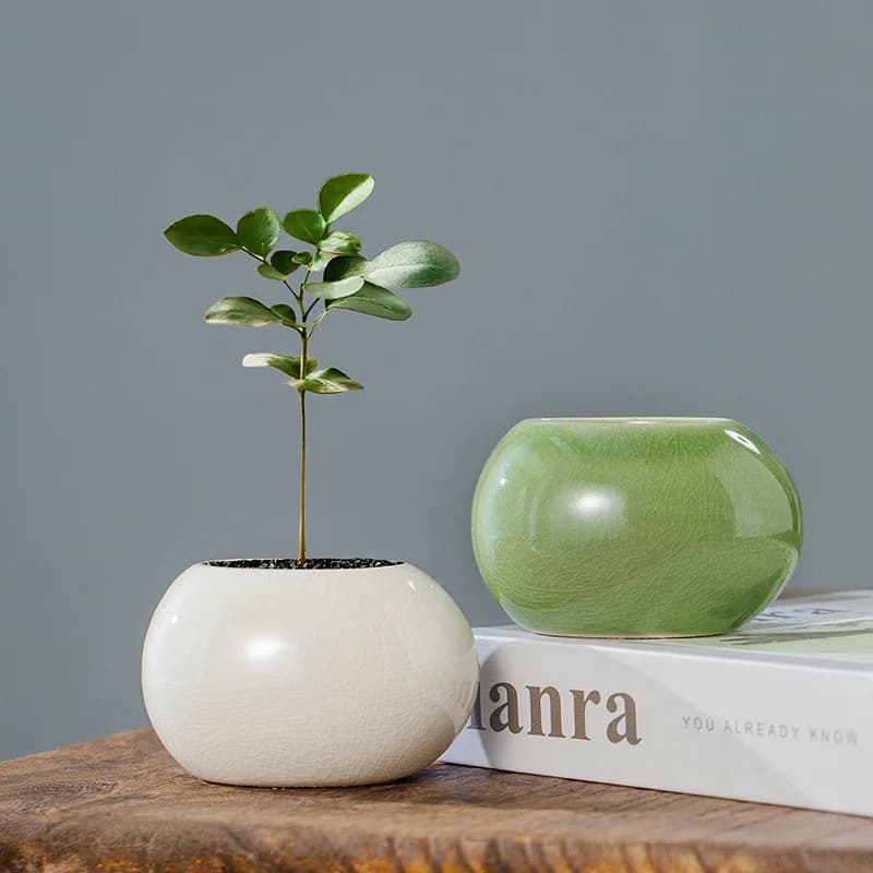 Ice Crack Glazed Ceramic Flower Pot, Mini Round Ball Succulent Planter, Fresh Desktop Hydroponic Vase Home Decor