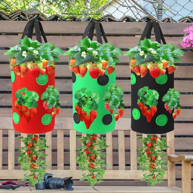 1 Piece Suspended Vertical Cultivation Sack for Strawberries and Tomatoes, Strawberry Growing Vase for Vertical Garden