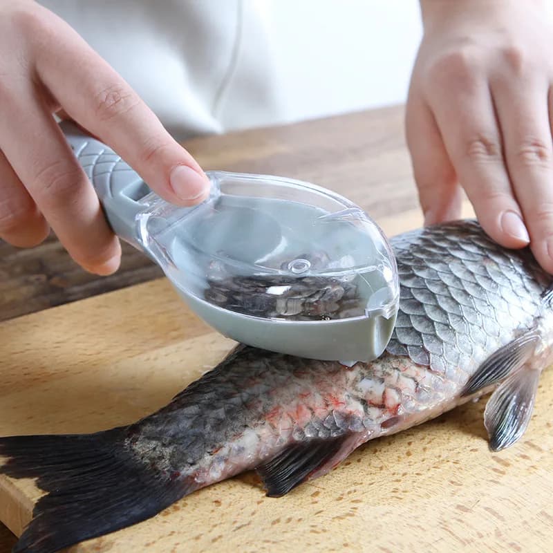 Kitchen Tools Fish Sharks Gratitudes Raschietto Fish Cleaning Tool Rackle scales with lid Cooking tool