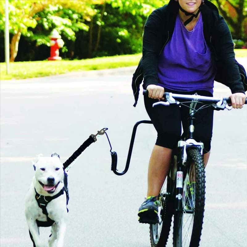 ABUI-Chietto per bicicletta per cani Attacco per mani libere per carichi pesanti per andare in bicicletta Guinzaglio per bici per cani per esercizi