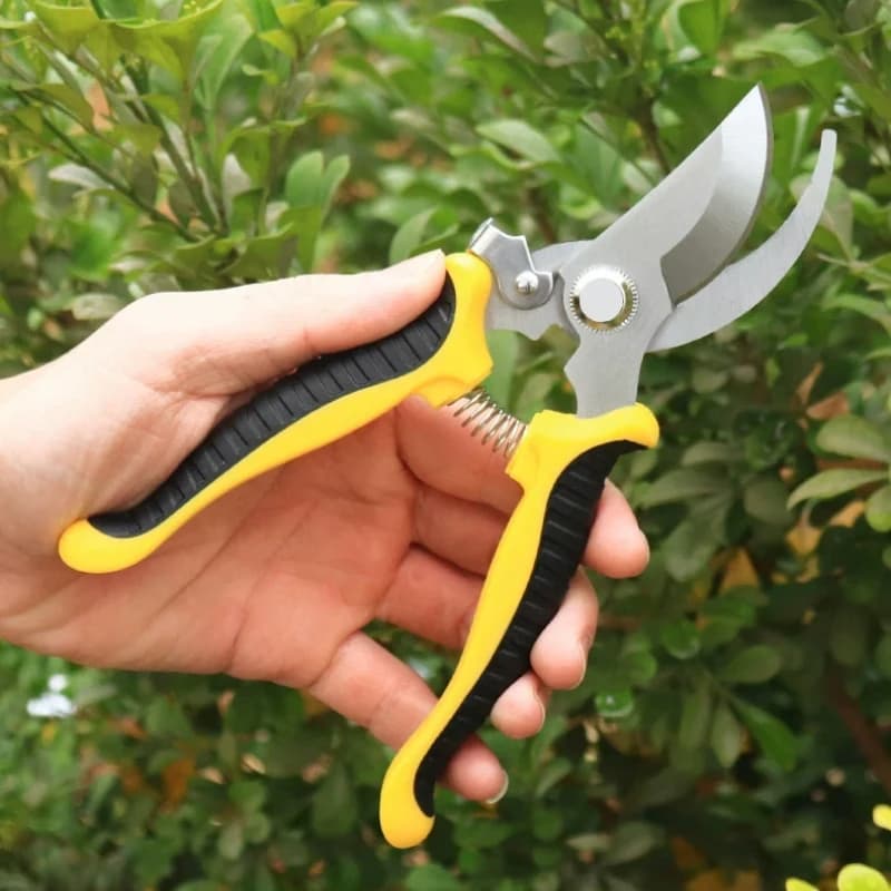 Stainless steel garden pruning scissors branch flower arrangement and fruit picking scissors professional gardening scissors