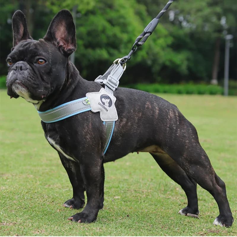 Guinzaglio per cani riflettente traspirante, imbracatura per gilet, corda da passeggio canina piccola e media, attrezzatura di sicurezza per il controllo dell'attrezzatura esterna per cani