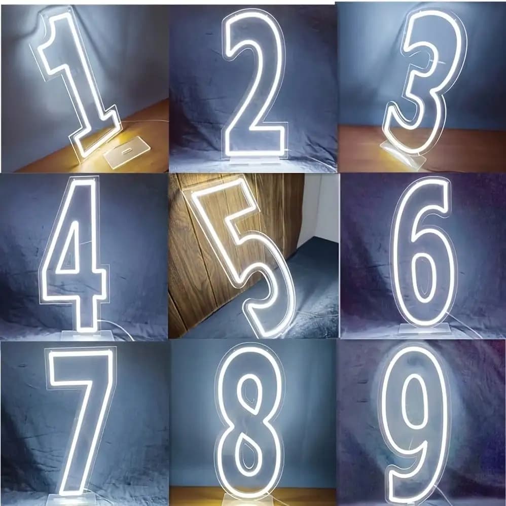 White 0-9 Single Digit LED Number Neon Sign, USB Wall Hanging Light with Dimmable Switch, Decor for Birthday, Anniversary, Wedding, Bar & Club, Gift Option