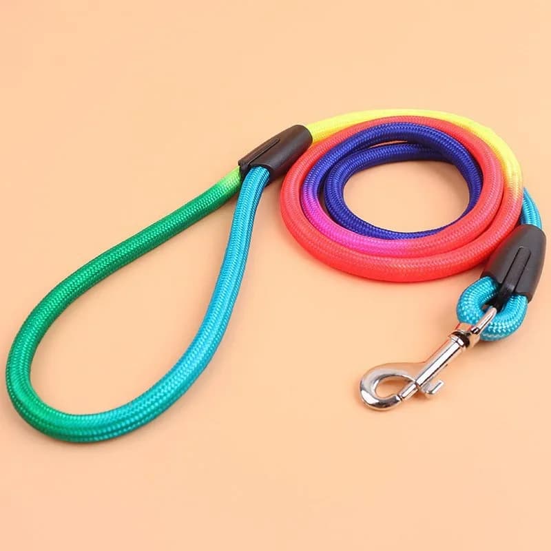 Durevole Nylon arcobaleno 1.2M guinzaglio per cani da compagnia guinzaglio per addestramento a piedi gatti cani imbracatura collare guinzagli cinghia corda per cintura