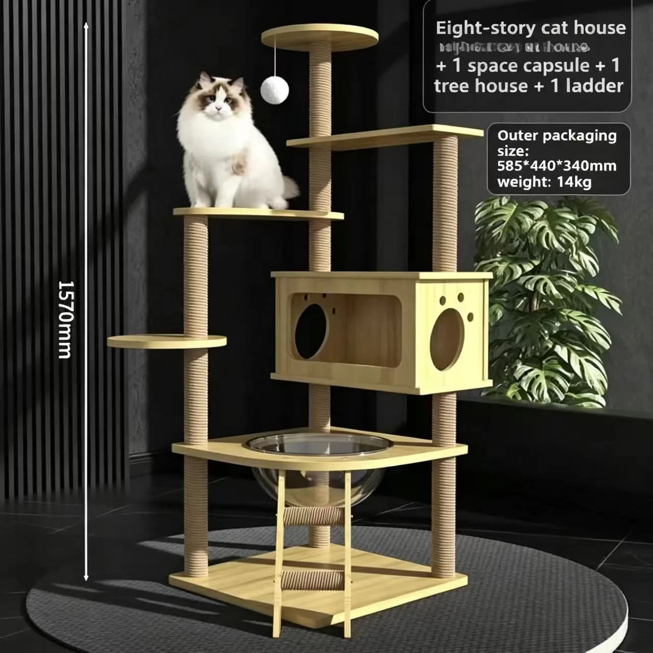 Trending Stable Cat Tree Cat Bed All in one Cat Scratcher Durable Pet Furniture For Indoor Cats Daily Use