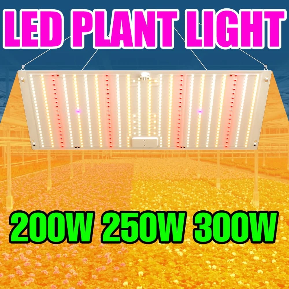 Lampada LED per Piante a Spettro Completo 300W, Pannello Quantum per Coltivazione Indoor, Tenda da Serra, Illuminazione per Fiori in Vaso e Idroponica