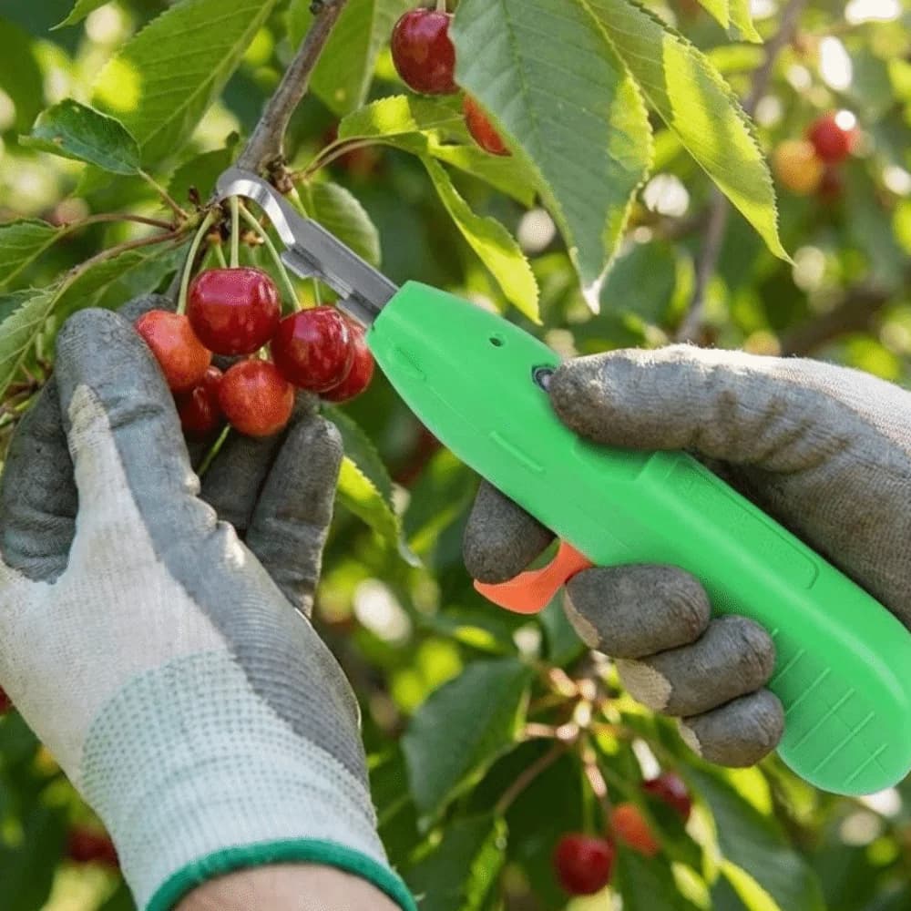 Attrezzo Portatile per Raccolta Bacche, Forbici Ergonomiche Anti-Perforazione per la Raccolta della Frutta, Cesoie da Potatura Robuste Anti-Graffio per Giardinaggio