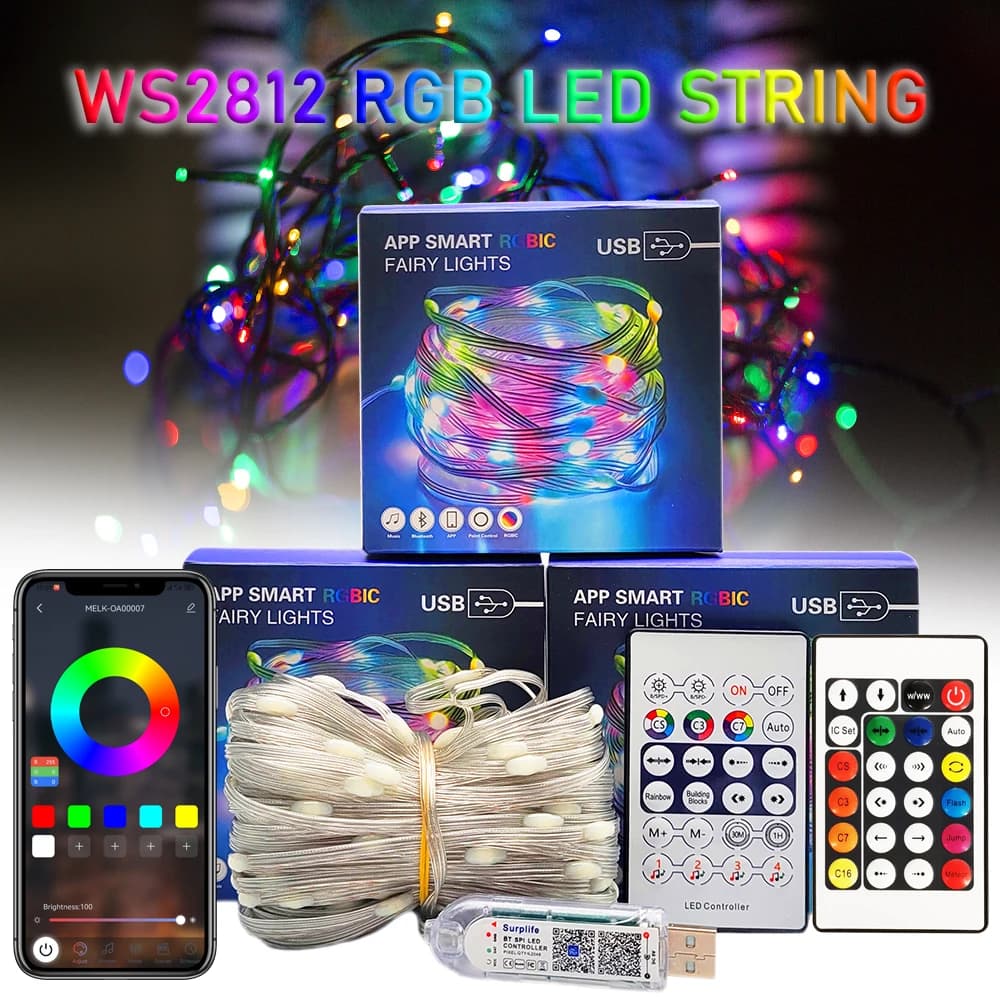 USB DC5V WS2812B LED String Dream Full Color indirizzabile individualmente RGB Strip Light impermeabile IP68 decorazione della festa di natale