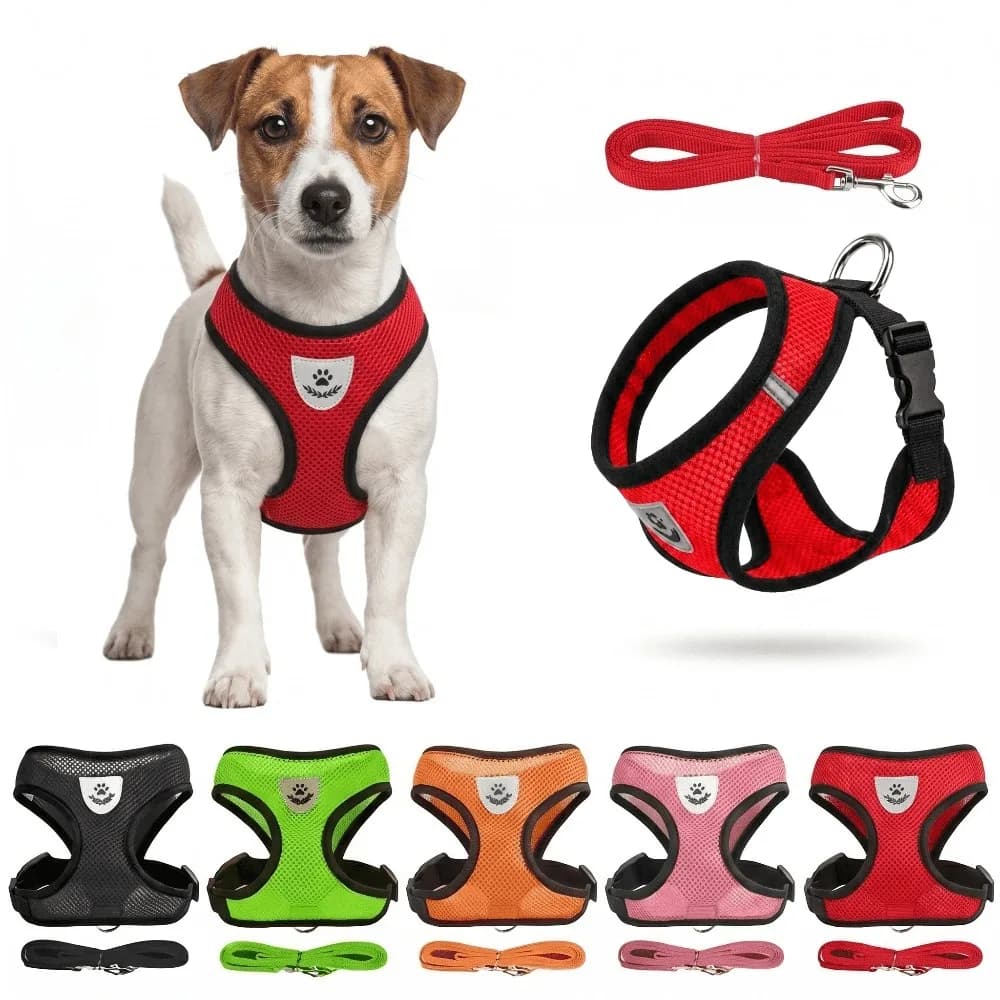 Set guinzaglio e pettorina in rete traspirante per cani (include 15 sacchetti igienici + dispenser + 4 campanelli antifurto)