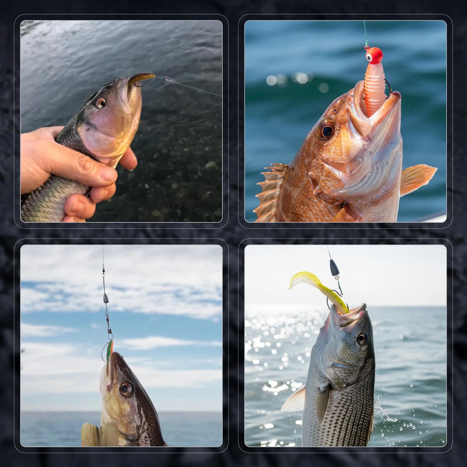 Kit di esche da pesca Goture Bass, 6 tipi di esche morbide in plastica, esche rigide con scatola per attrezzatura, accessori per la pesca in acqua dolce e salata