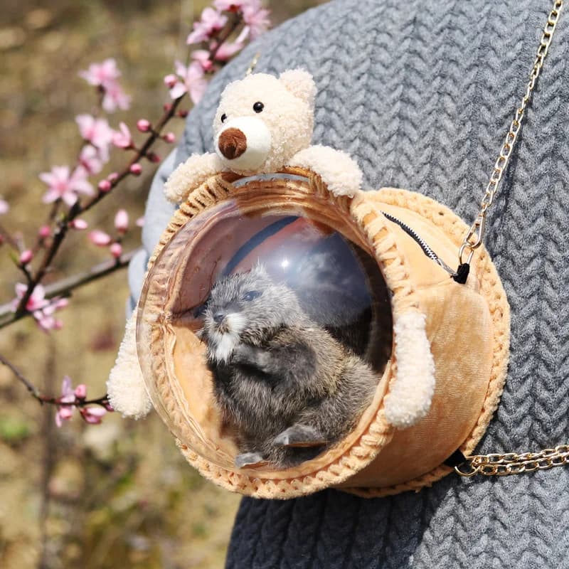 Borsa per il trasporto di piccoli animali domestici Borsa per il trasporto di criceti portatile traspirante per esterni Coniglio Pappagallo Riccio Valigia Borse da viaggio per piccoli animali