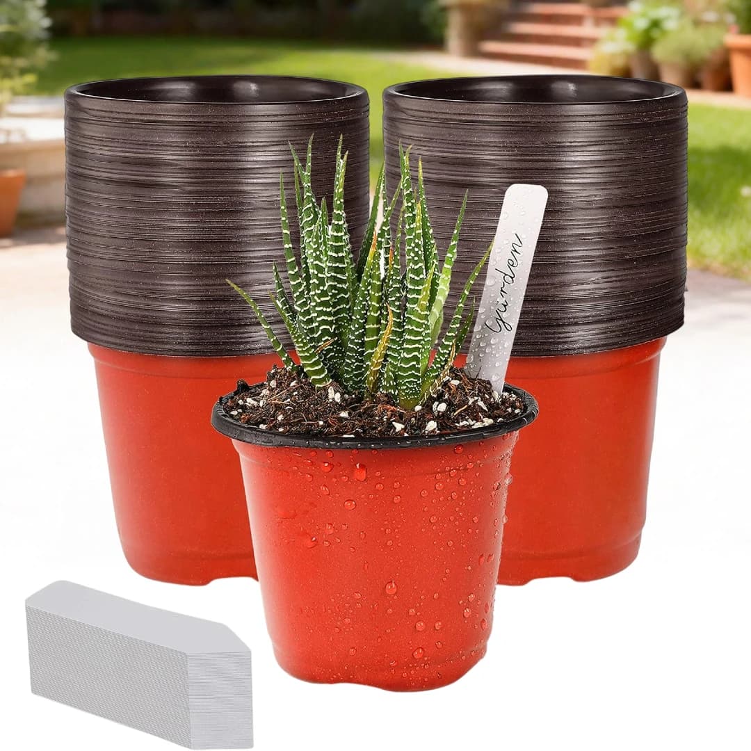 100 Pieces Plastic Vases from 4 Inches for Vivary with 100 Labels for Plants, Containers for Semenzali and Flowers