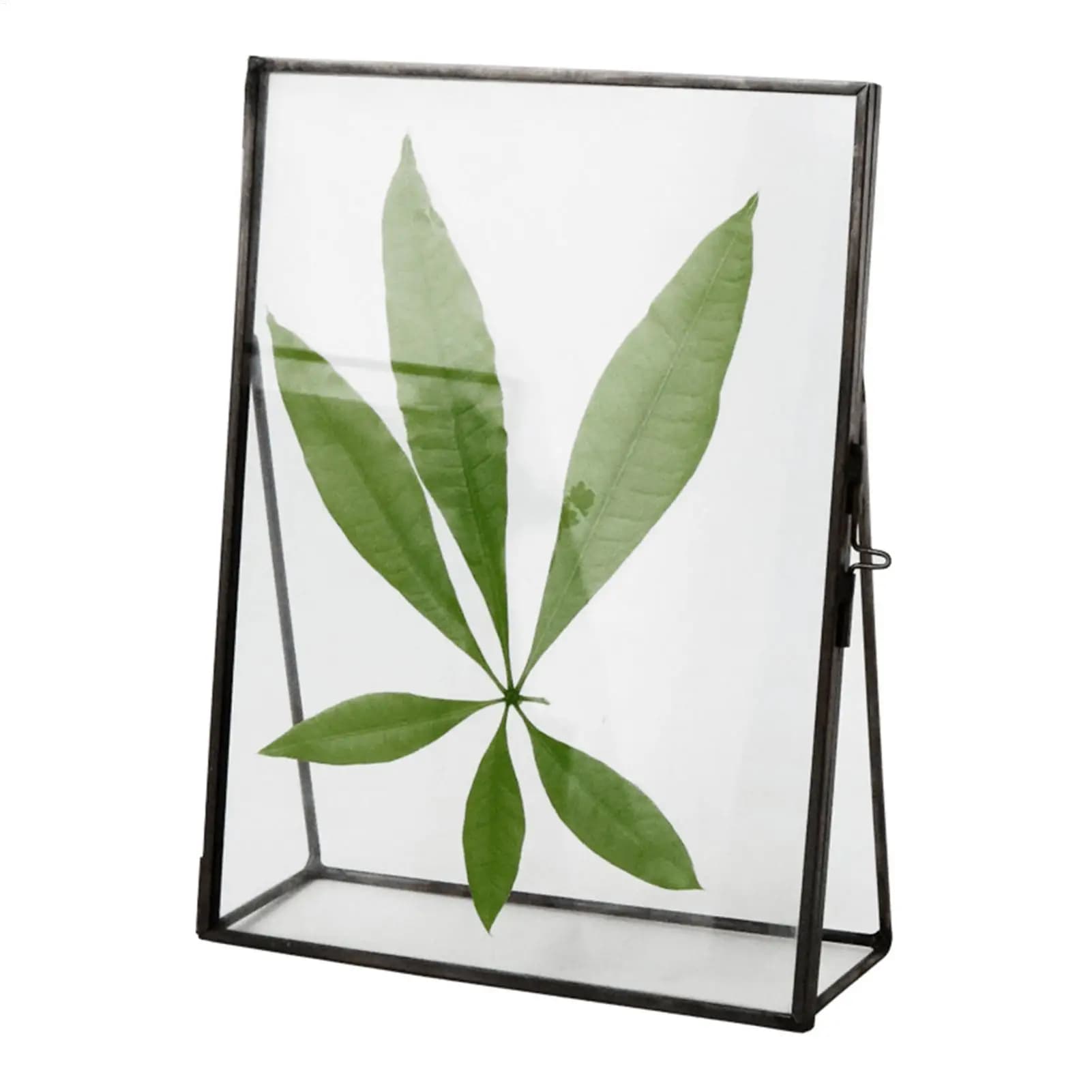 Double Glass Frame Simple Metal Tabletop Display 4x6in Floating Brass Picture Frame For Home Office Table Keepsake Display Dried